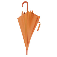 Carica l'immagine nel visualizzatore di Gallery, ombrelli classici promozionali in poliestere colore arancione_arancione 1178219 DET02
