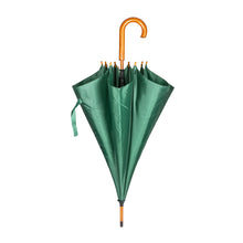 Carica l'immagine nel visualizzatore di Gallery, ombrelli classici promozionali in poliestere colore verde_verde 1186218 DET03