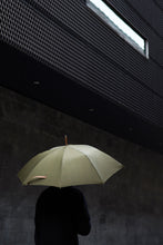 Carica l'immagine nel visualizzatore di Gallery, ombrelli classici promozionali in rpet colore verde_verde 12300217 DET06