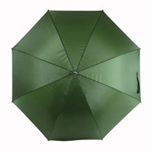 Carica l&#39;immagine nel visualizzatore di Gallery, ombrelli maxi e golf promozionali in poliestere colore verde_verde 1172523 DET01
