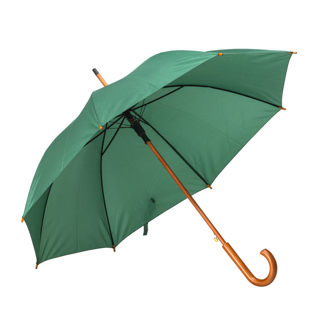 ombrelli classici promozionali in poliestere colore verde_verde 1186218 VAR07
