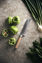 Carica l&#39;immagine nel visualizzatore di Gallery, accessori cucina stampati con logo in acciaio inossidabile, legno colore argento_argento 122288267 DET06
