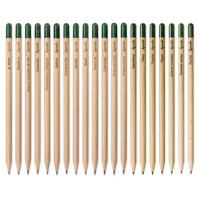 matite e portamine personalizzate in legno colore naturale_naturale 1194520 VAR01
