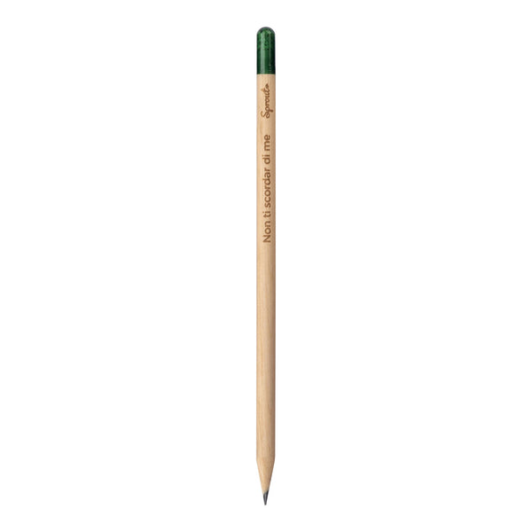 Carica l&#39;immagine nel visualizzatore di Gallery, matite e portamine personalizzate in legno colore naturale_naturale 1194520 DET09
