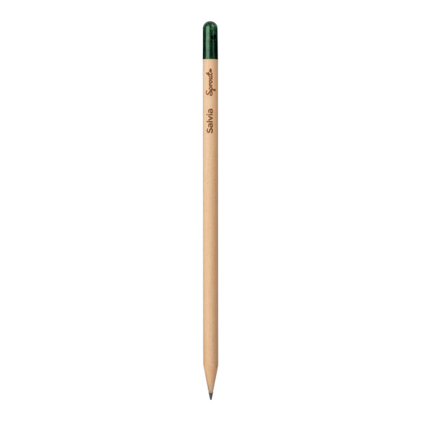 Carica l&#39;immagine nel visualizzatore di Gallery, matite e portamine personalizzate in legno colore naturale_naturale 1194520 DET09
