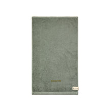 Carica l&#39;immagine nel visualizzatore di Gallery, asciugamani promozionali in cotone colore verde_verde 122316730 DET06
