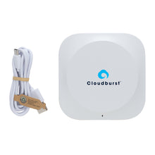 Carica l&#39;immagine nel visualizzatore di Gallery, caricabatteria wireless pubblicitari in abs riciclato, fsc® sughero colore marrone_marrone 121702575 DET07
