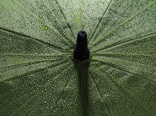 Carica l&#39;immagine nel visualizzatore di Gallery, ombrelli golf e maxi promozionali in rpet, fibra di vetro colore verde_verde 121756786 DET08
