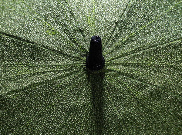 Carica l&#39;immagine nel visualizzatore di Gallery, ombrelli golf e maxi promozionali in rpet, fibra di vetro colore verde_verde 121756786 DET08
