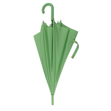 Carica l&#39;immagine nel visualizzatore di Gallery, ombrello automatico personalizzabile in pongee verde 01110534 DET02
